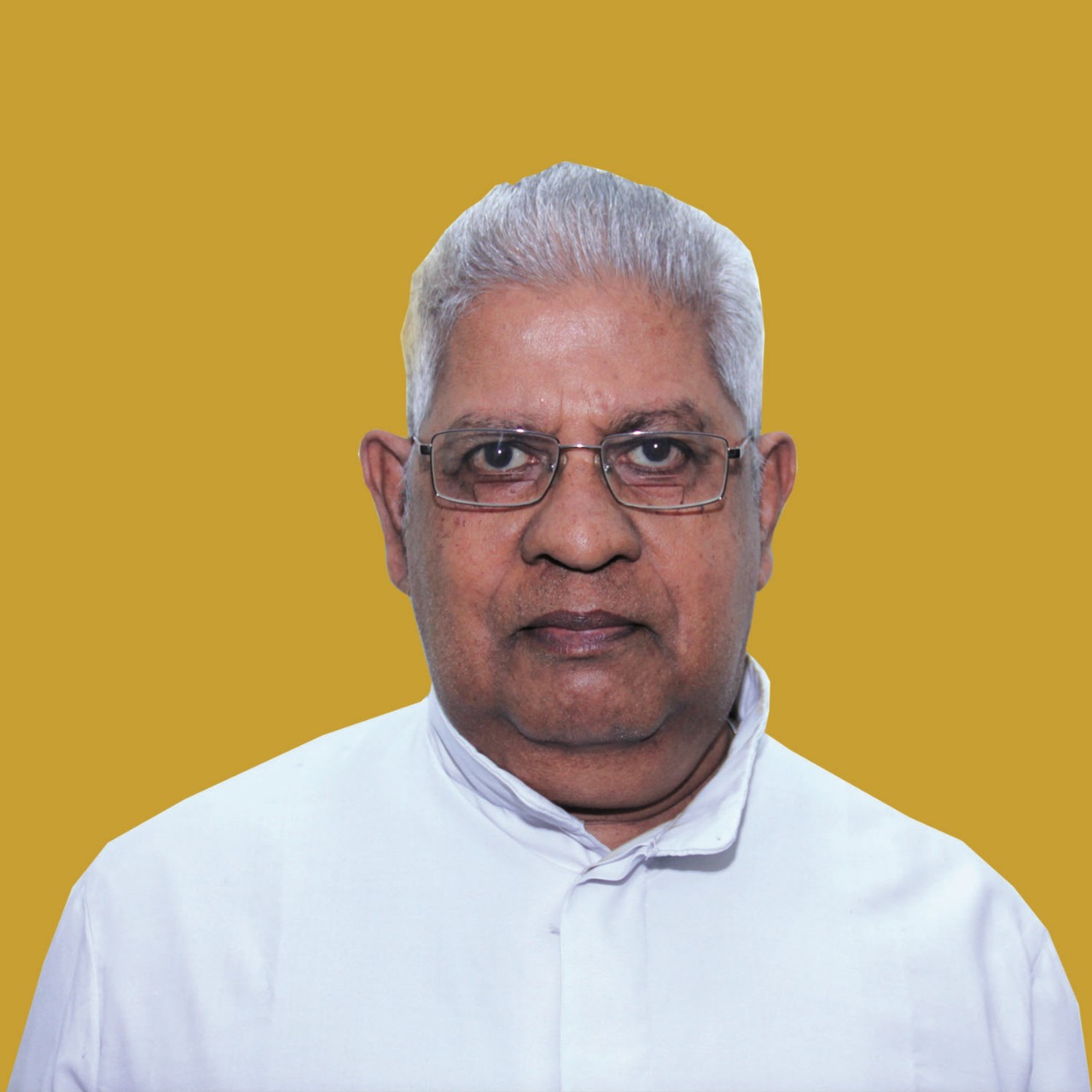 Rev. Fr George Thevalakkara CMI